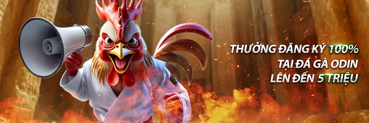 Đối Tác 79sodo App