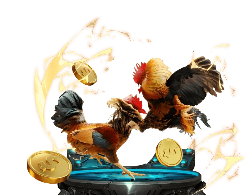 Tổng quan khuyến mãi 79sodo